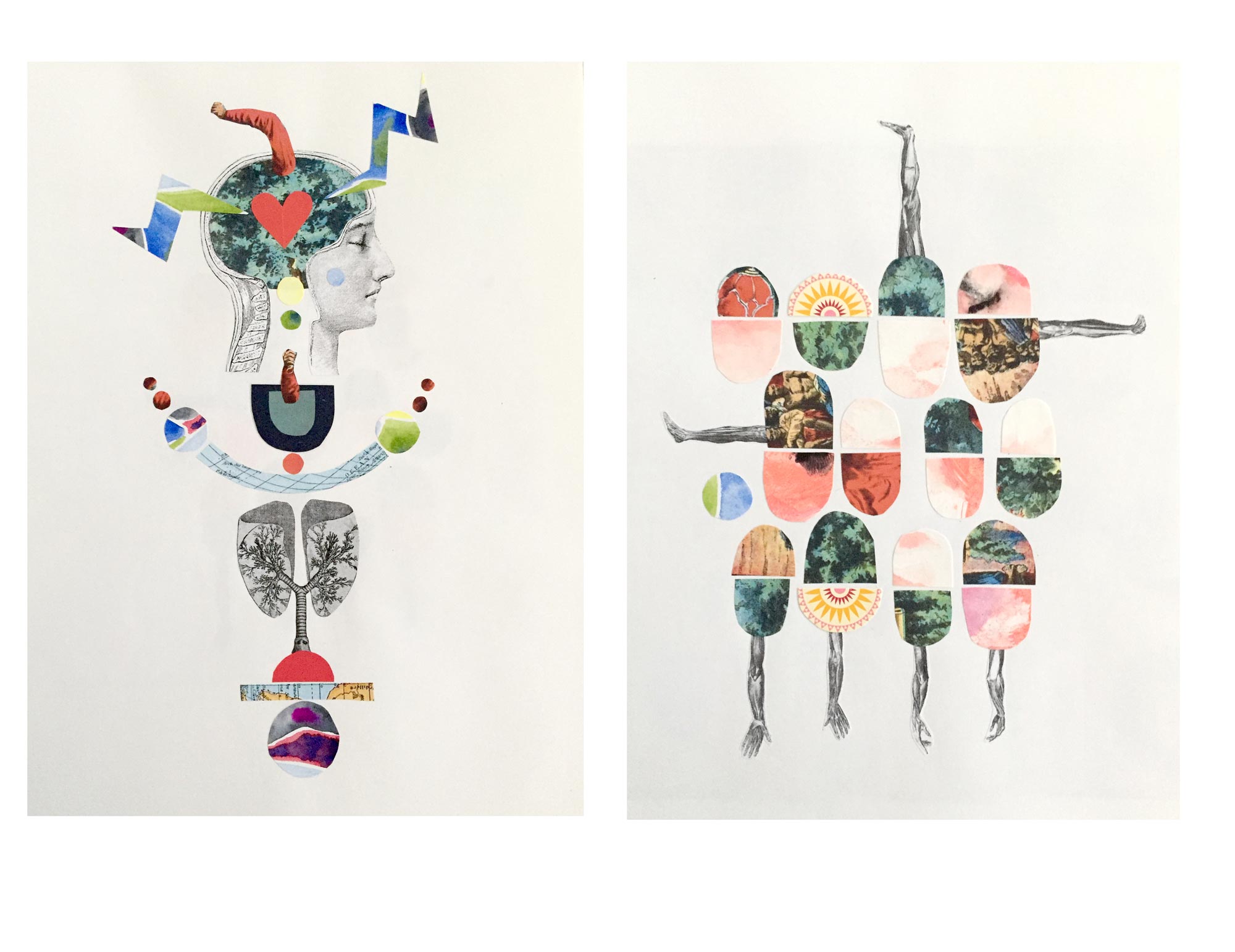 collage2